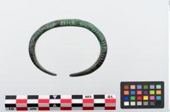 Foto von Bronzeperlarmeif (NHMW-PRAE-024284)